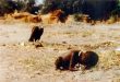 Bambino con avvoltoio in Sudan, foto di Kevin Carter vincitrice del Pulitzer 1994